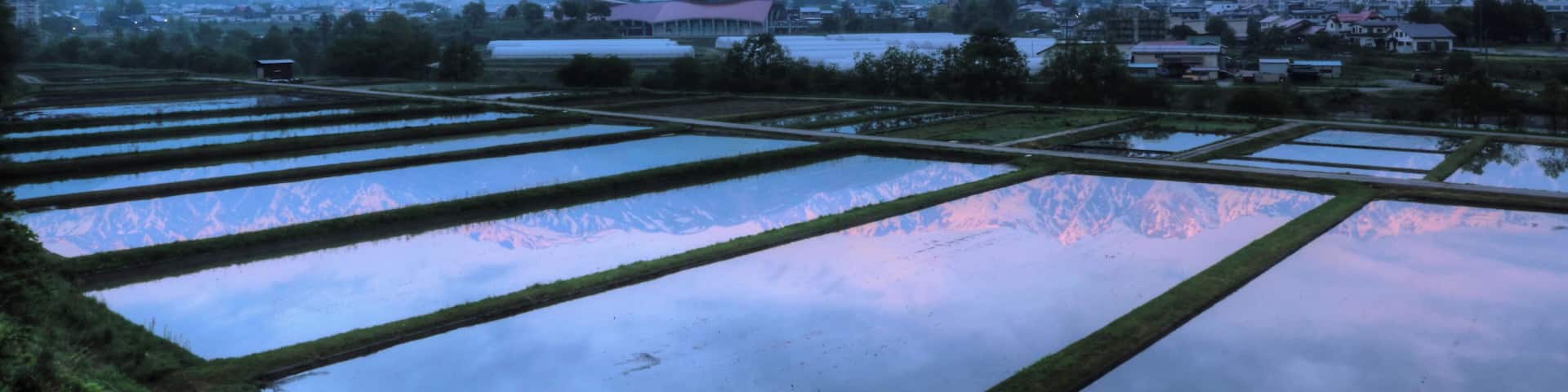 怩ç„ćăăăźéąšæŻ