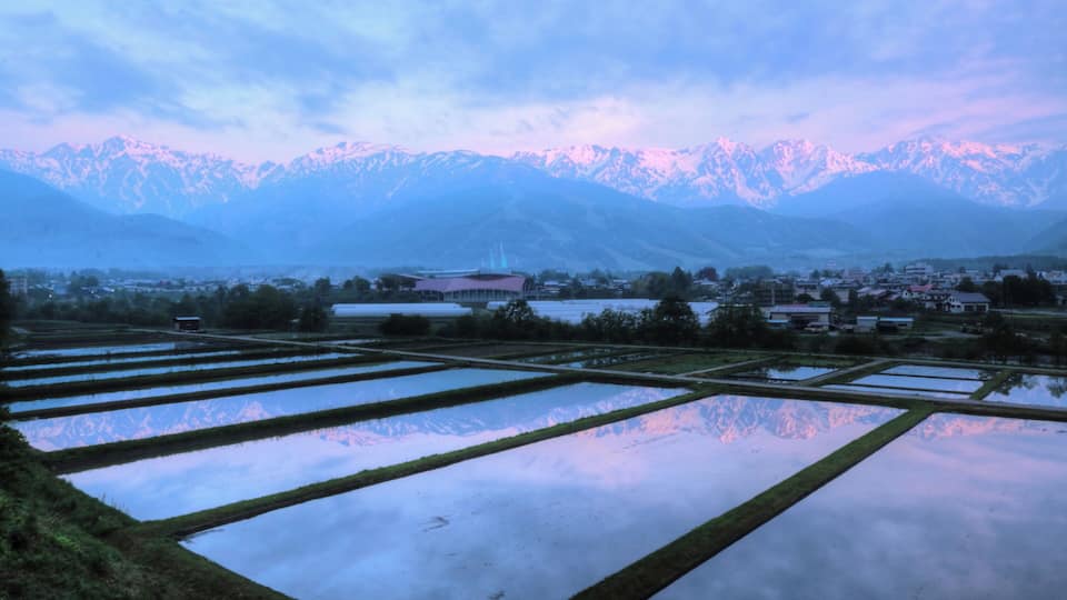 Terrazas de arrozales reflejando montañas al fondo.
