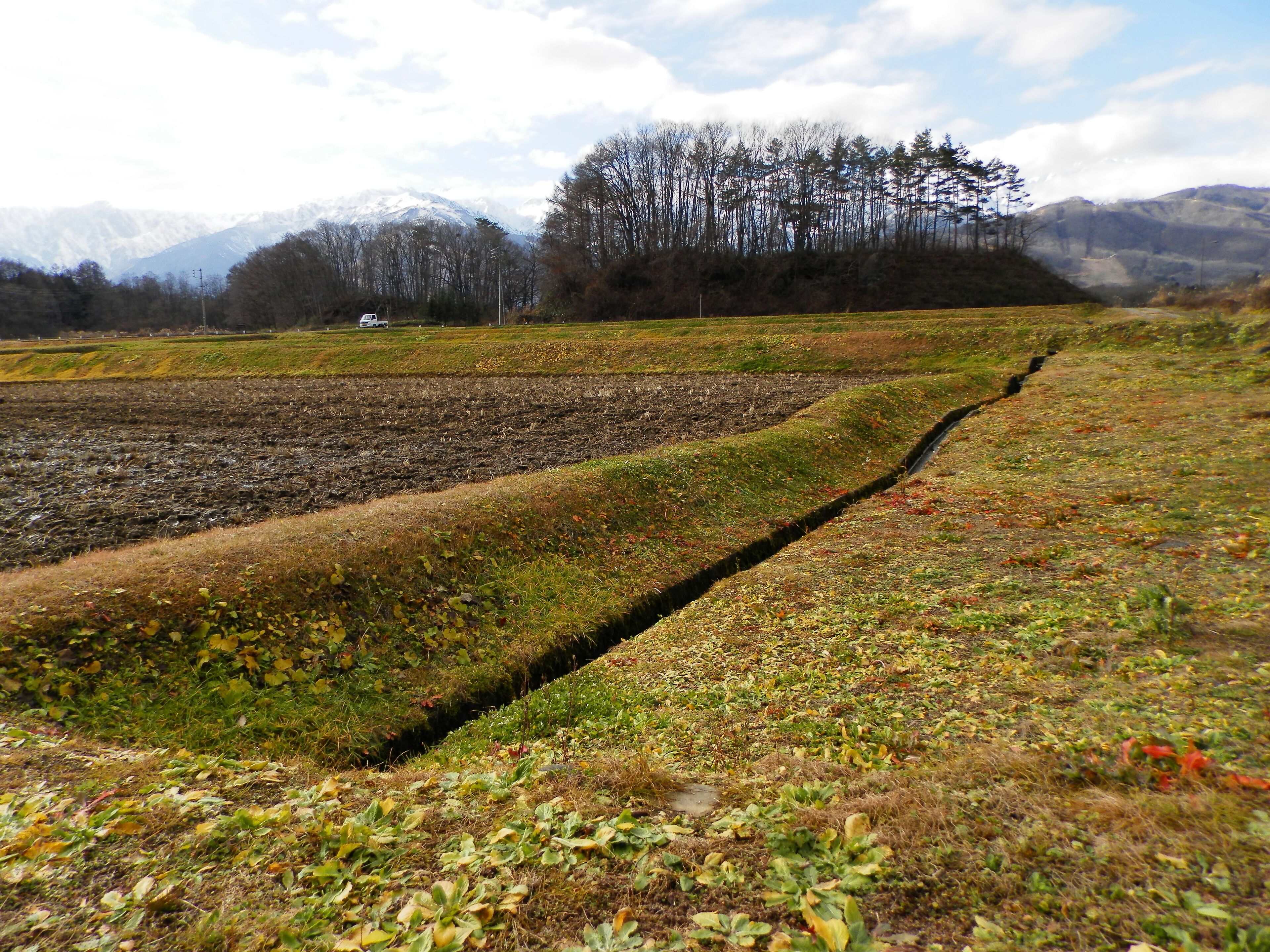 The surface displacement which has occurred to a rice paddy by Nagano-ken Kamishiro fault earthquake.