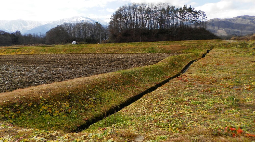 The surface displacement which has occurred to a rice paddy by Nagano-ken Kamishiro fault earthquake.