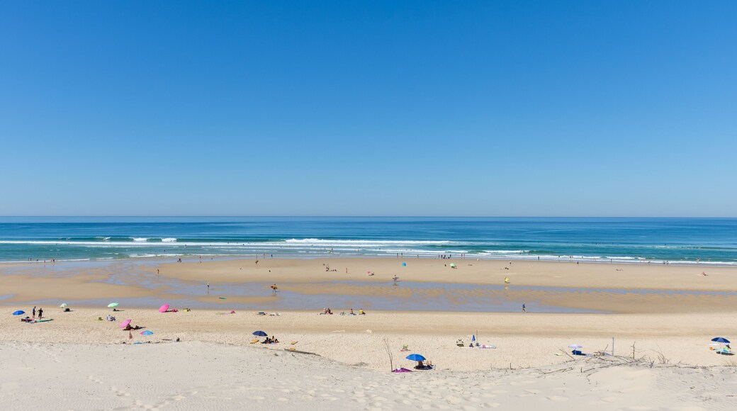 BISCARROSSE (Landes, France), vue sur la plage