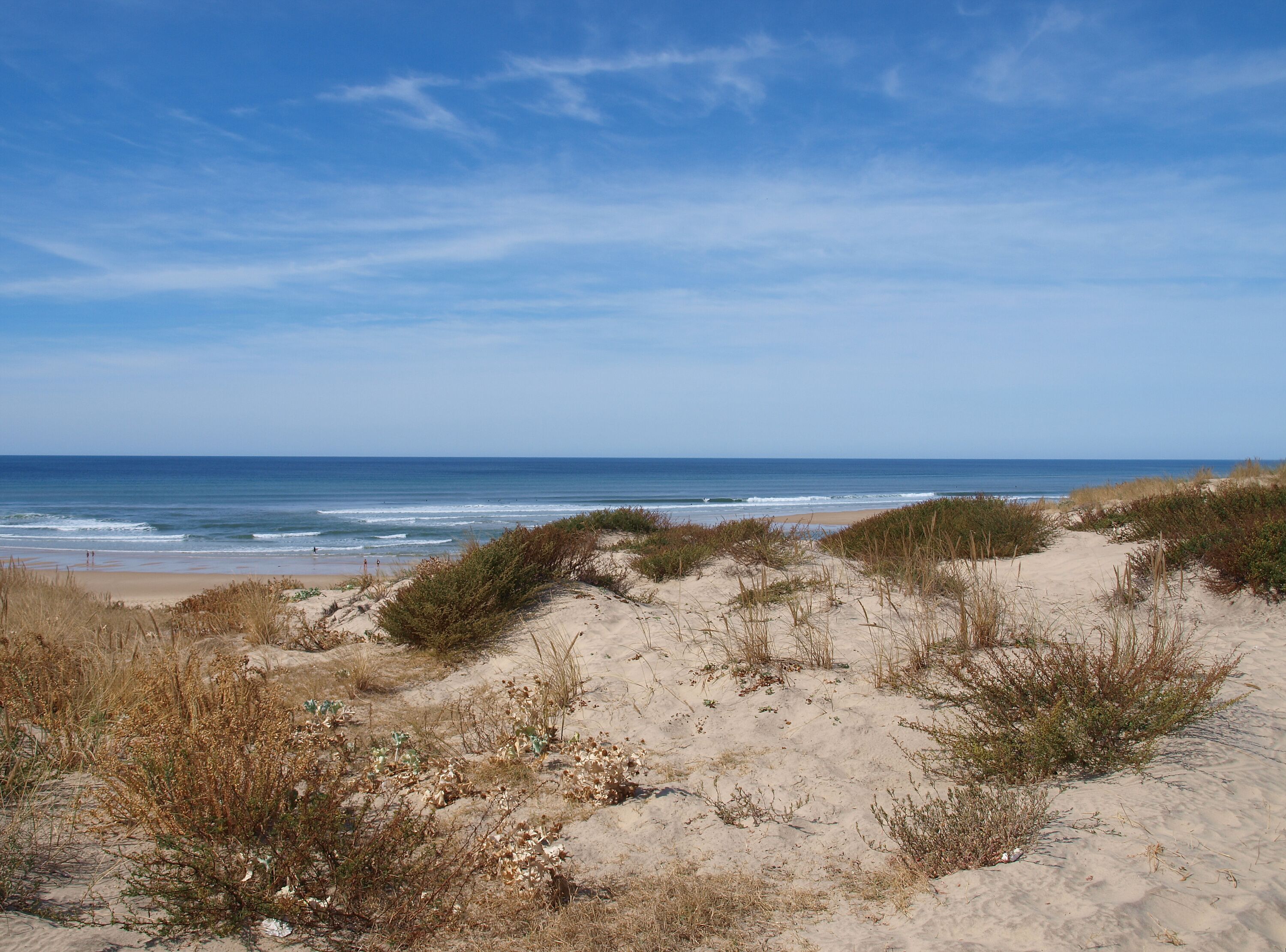 Biscarrosse plage. Point de vue des dunes sur l'immense plage et l'océan atlantique