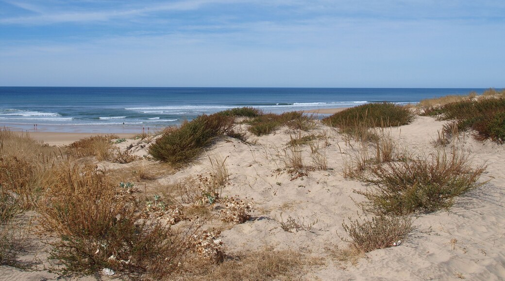 Biscarrosse plage. Point de vue des dunes sur l'immense plage et l'océan atlantique