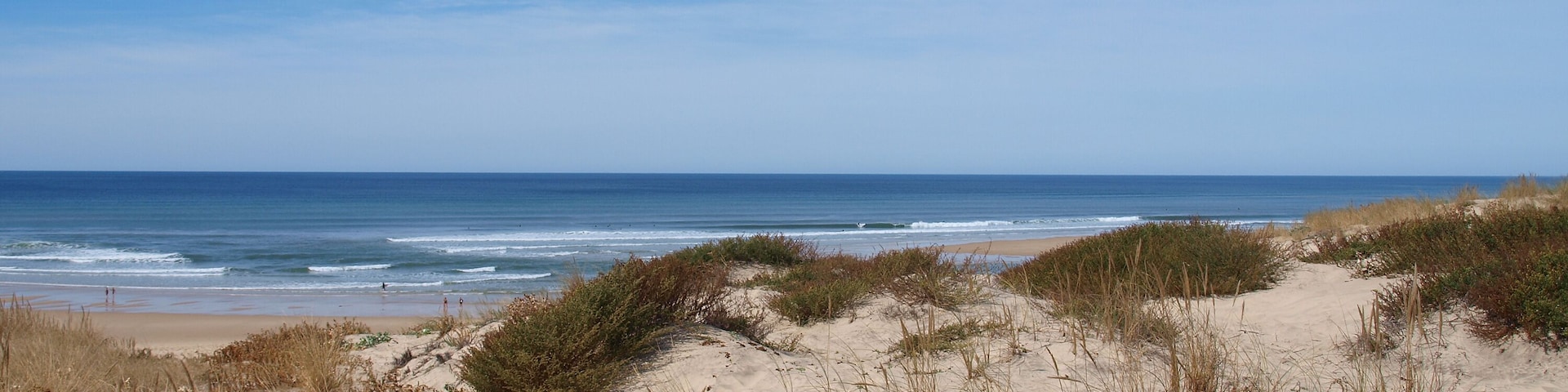 Una playa con dunas de arena y vegetación escasa.