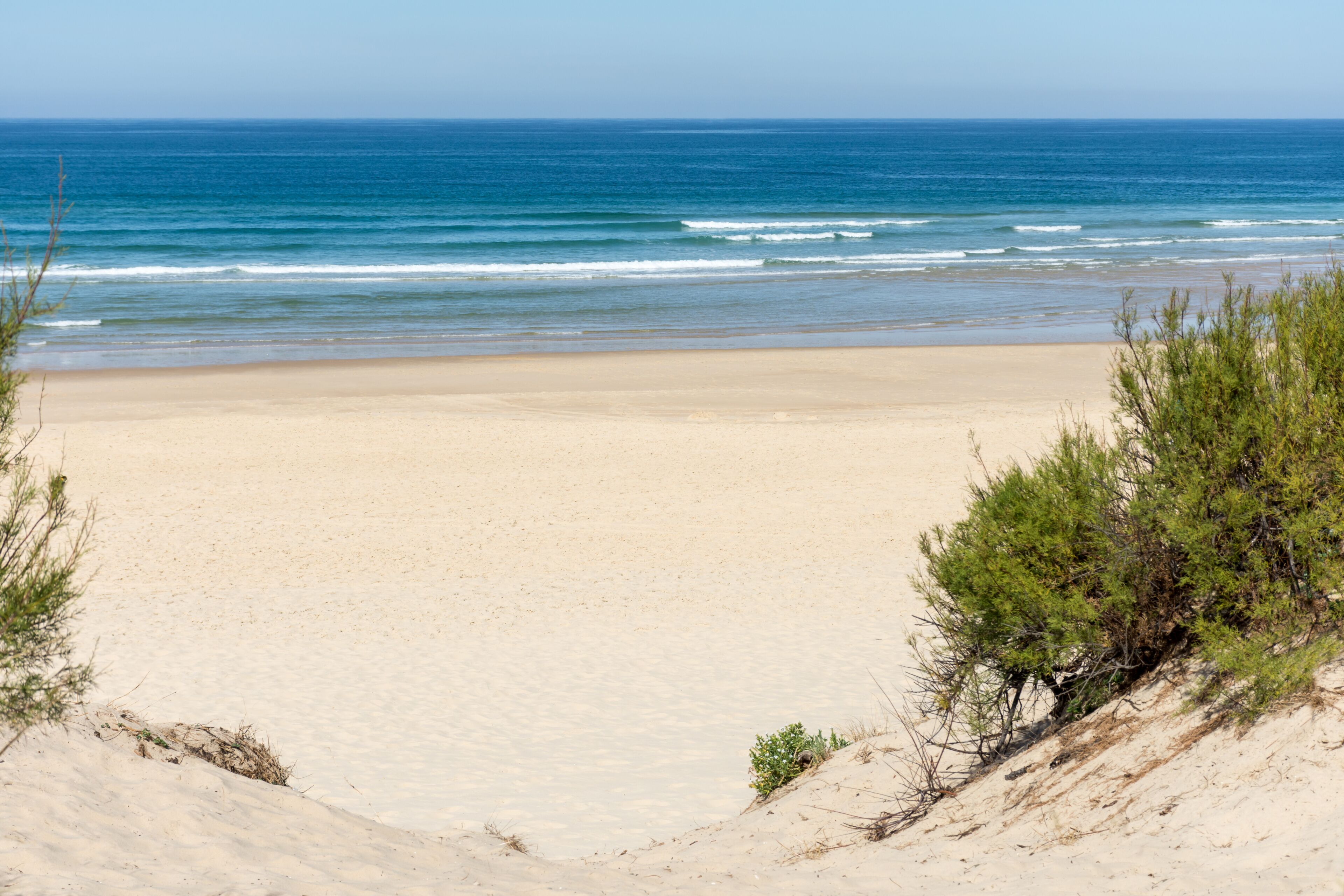 MIMIZAN (Landes, France), près de Biscarrosse. Vue sur la plage