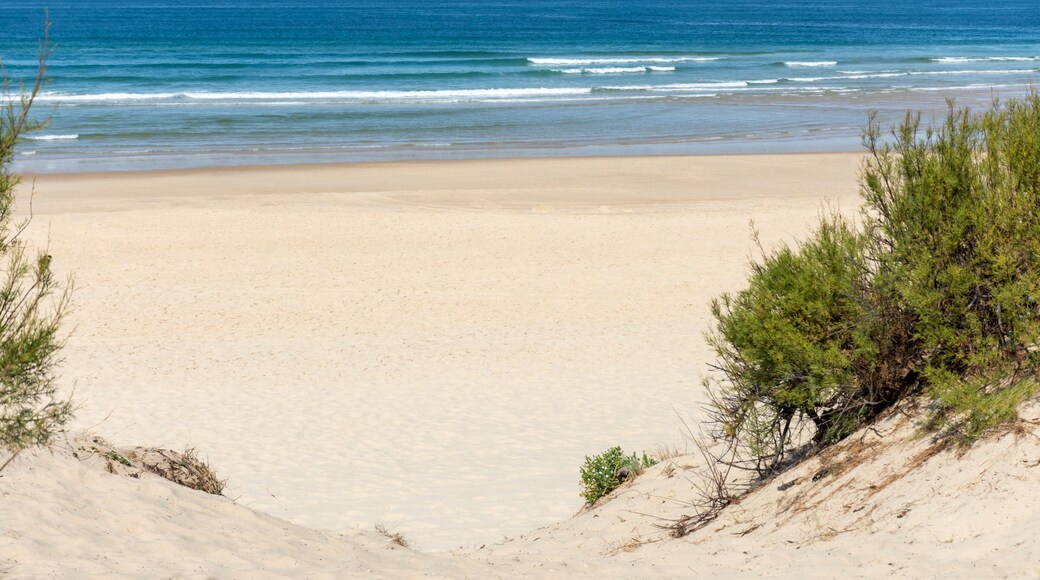 MIMIZAN (Landes, France), près de Biscarrosse. Vue sur la plage