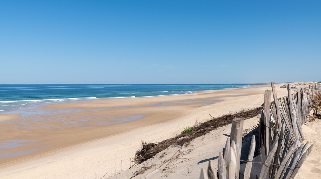 BISCARROSSE (Landes, France), vue sur la plage