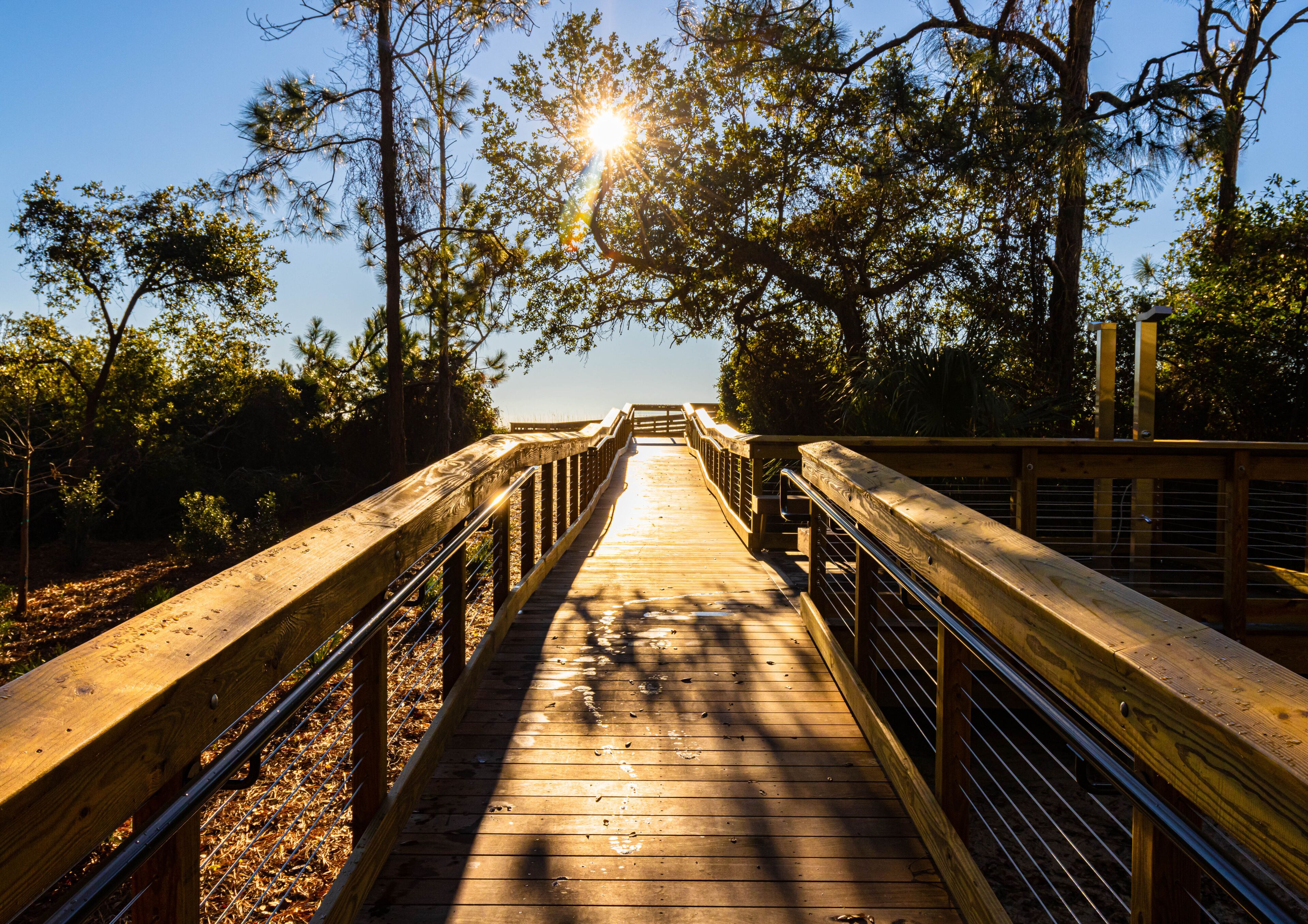 Sunshine on Boardwalk Leading To Folly Field Beach, Hilton Head, South Carolina, USA