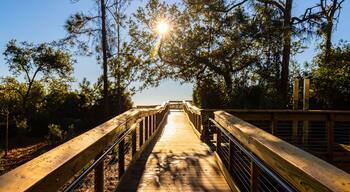 Sunshine on Boardwalk Leading To Folly Field Beach, Hilton Head, South Carolina, USA