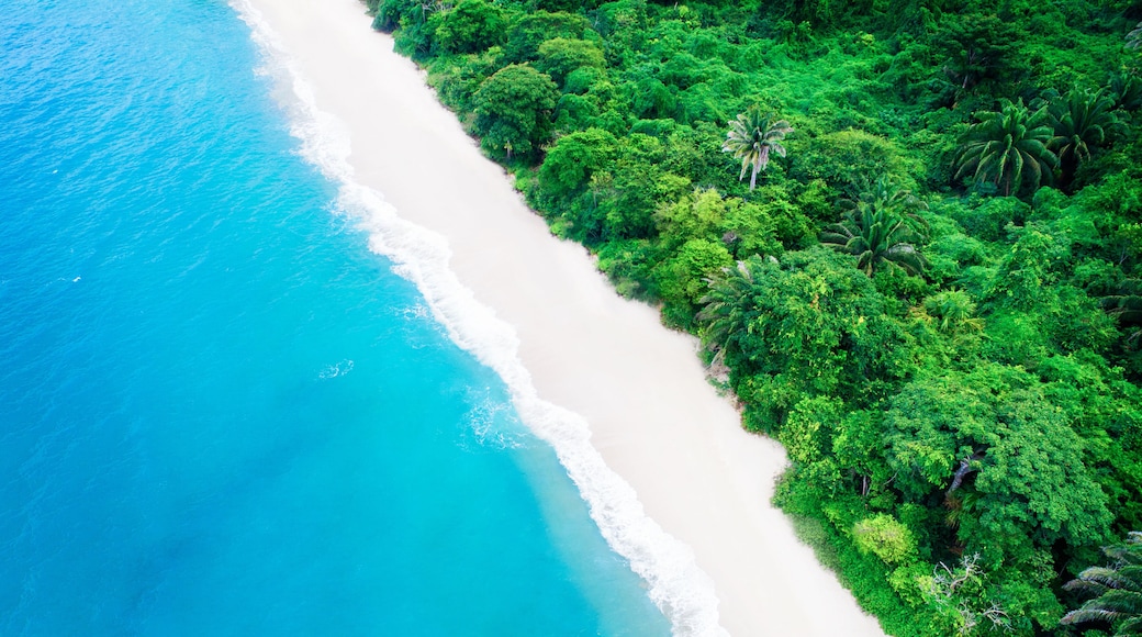 A beach with clear turquoise waters and a dense green forest.