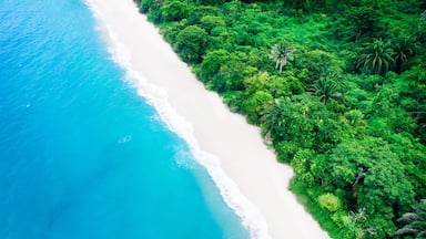Uma praia com águas turquesa cristalinas e uma floresta verde exuberante.