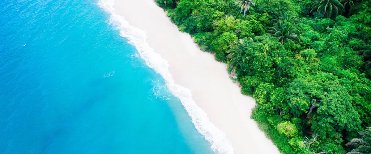 A beach with clear turquoise waters and a dense green forest.