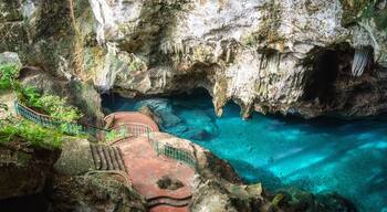 Guaricano