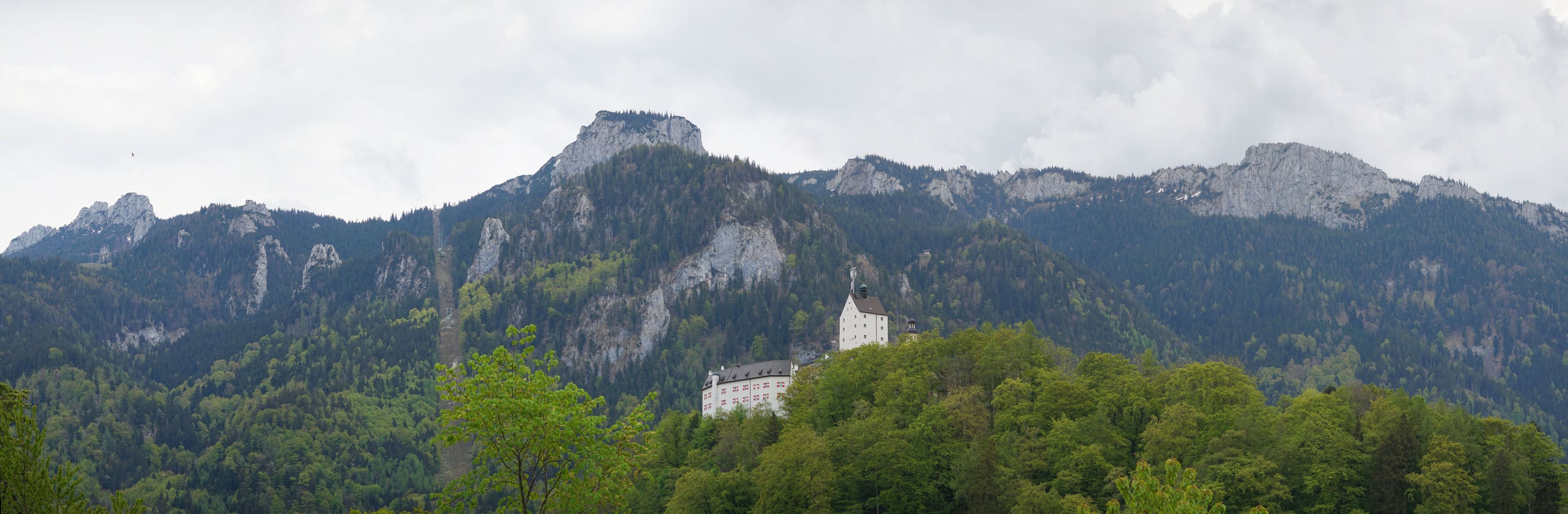 A castle nestled in a forested valley with a mountain backdrop.