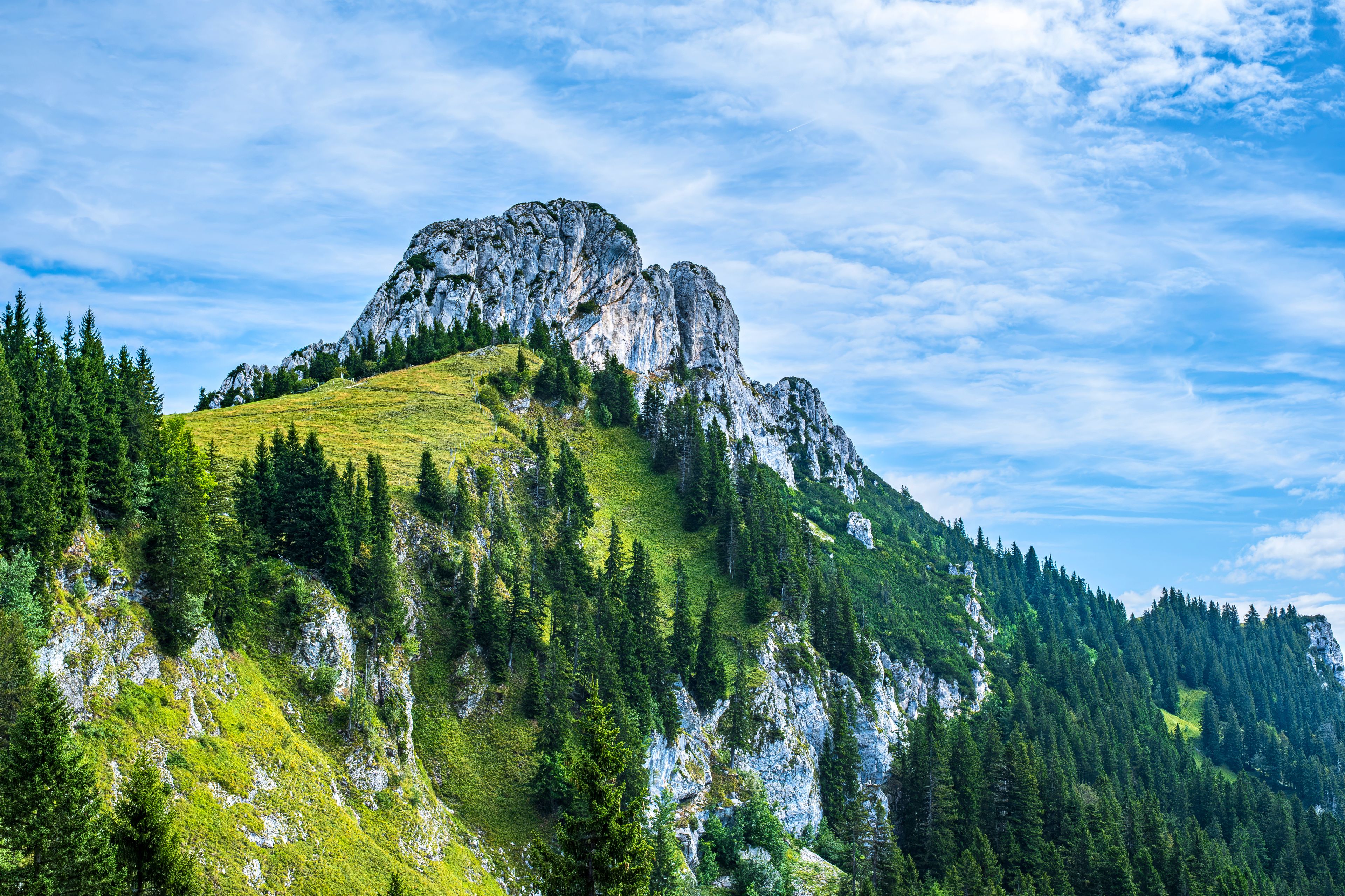 Una montagna con una cima rocciosa, una fitta foresta e un cielo sereno.