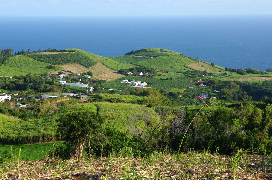 La Réunion - Saint-Joseph, Carosse