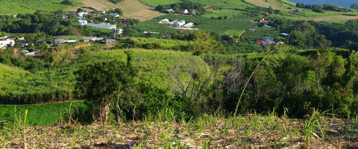A coastal landscape with rolling hills, scattered houses, and a view of the ocean.