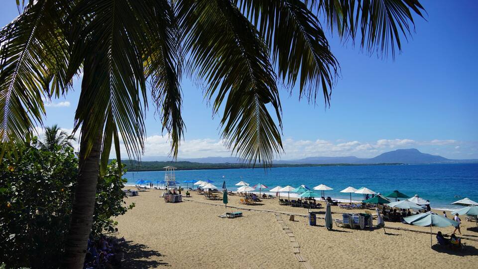 A beach with palm trees, umbrellas, and a lifeguard tower.