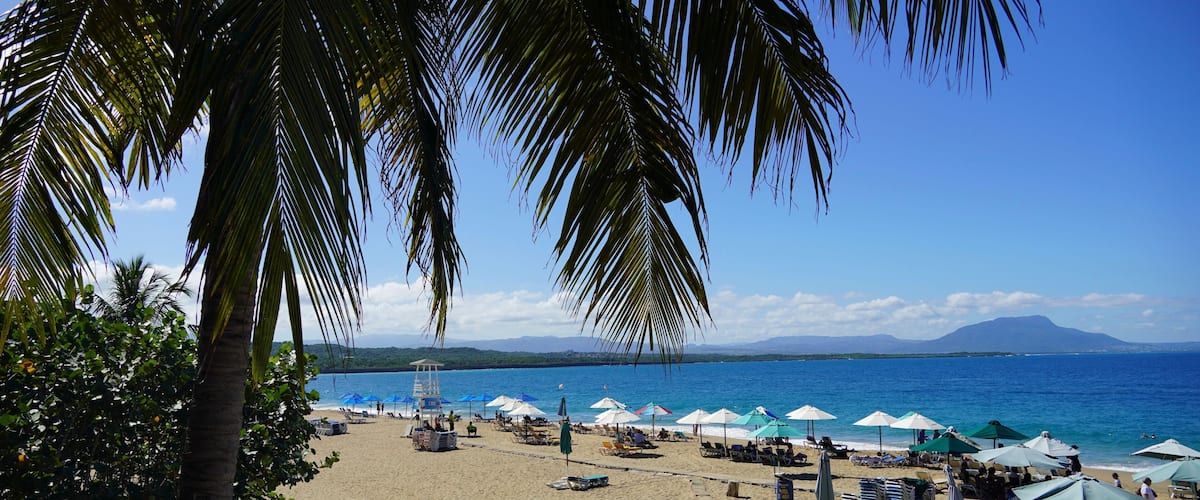A beach with palm trees, umbrellas, and a lifeguard tower.