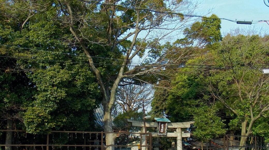 堺市美原区大保 広国神社 Hirokuni-jinja 2012.3.03