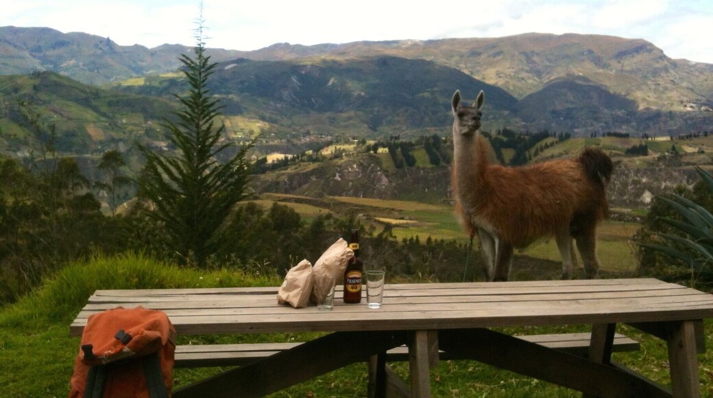 The Black Sheep Inn, Chugchilan, Ecuador......picnic lunch with Ted the Llama!