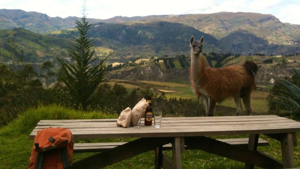 The Black Sheep Inn, Chugchilan, Ecuador......picnic lunch with Ted the Llama!