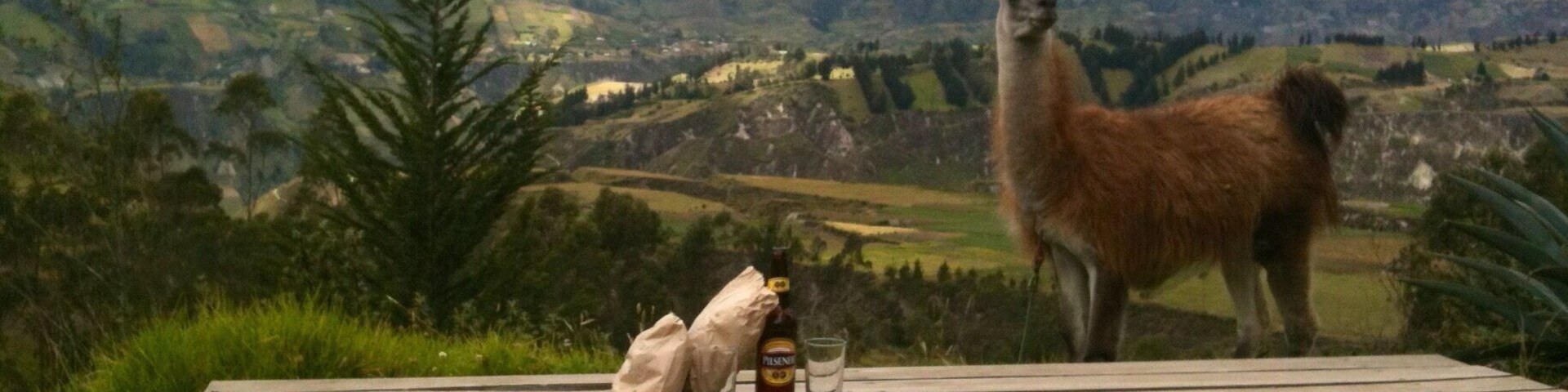 The Black Sheep Inn, Chugchilan, Ecuador......picnic lunch with Ted the Llama!