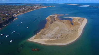 An aerial view of a coastal area with a small island surrounded by clear blue waters. There are several boats anchored near the shore, and a dense forested area is visible to the left.