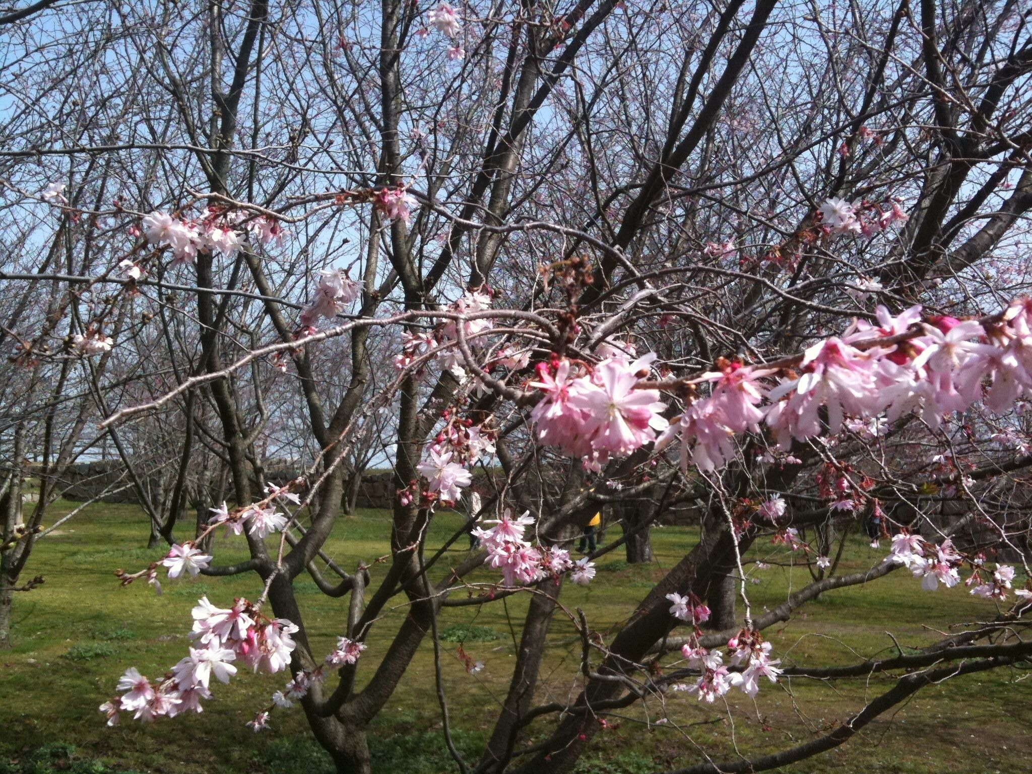 香川県丸亀市丸亀城