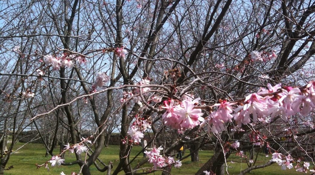 香川県丸亀市丸亀城
