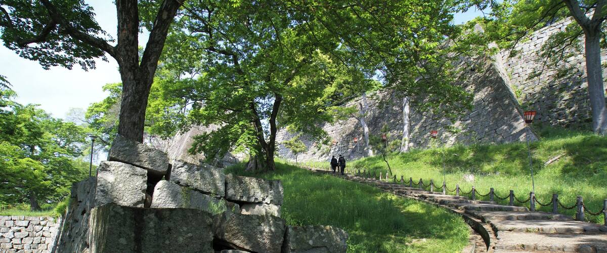 A stone pathway leading up a grassy slope with trees and a stone wall.