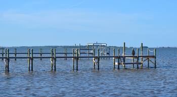 Empty Docks on the River