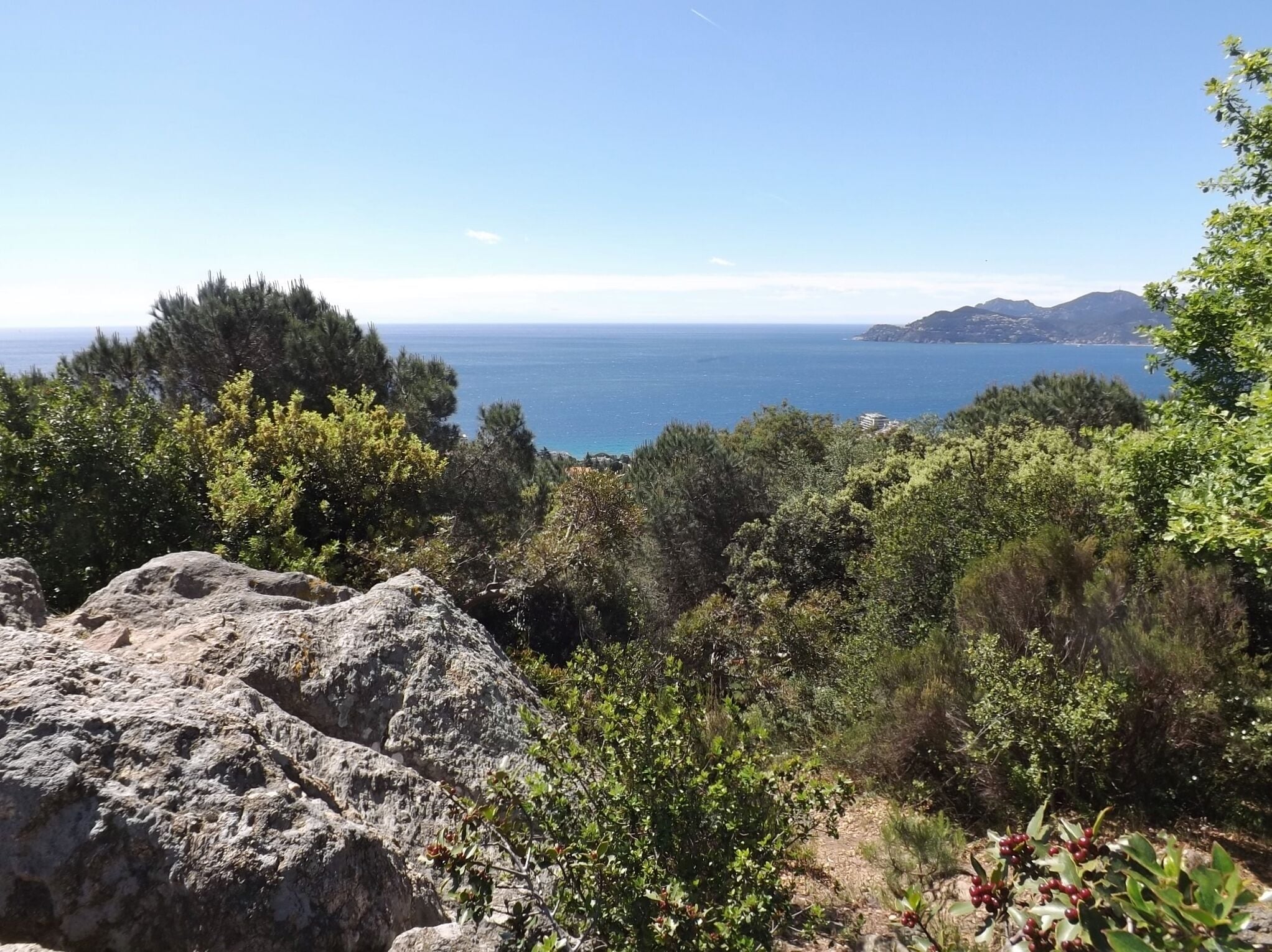 Sight of the bay of Cannes and Esterel mountains, from the la Croix-des-Gardes natural park and forest, on the heights of Cannes on the French Riviera, in Alpes-Maritimes.