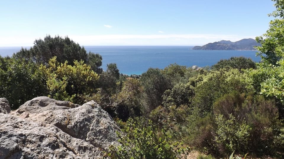 Sight of the bay of Cannes and Esterel mountains, from the la Croix-des-Gardes natural park and forest, on the heights of Cannes on the French Riviera, in Alpes-Maritimes.