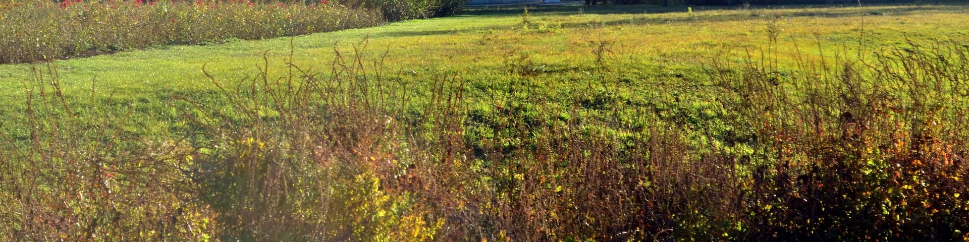 Brenzpark in Heidenheim