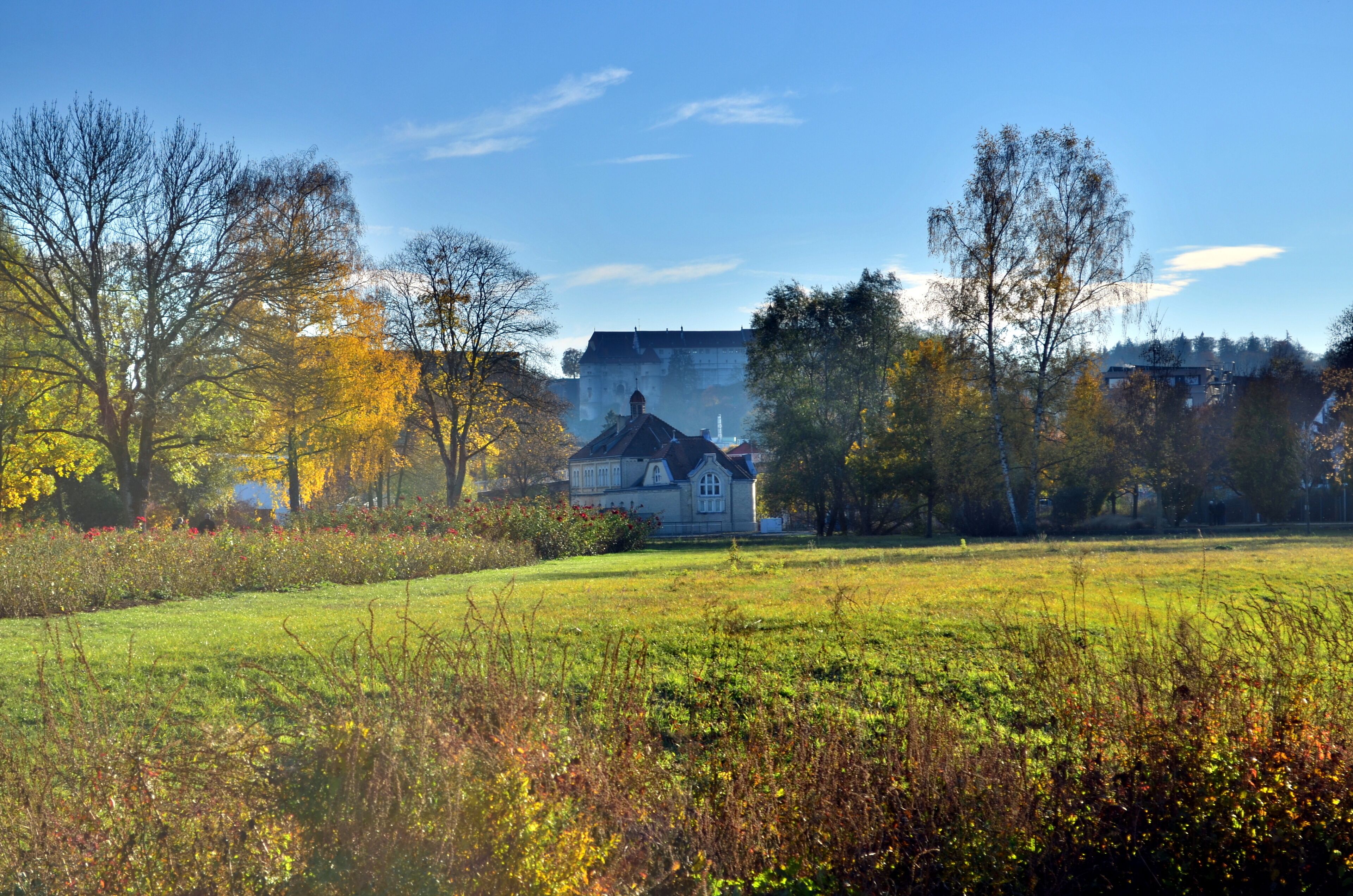 A large house surrounded by trees and a grassy field.