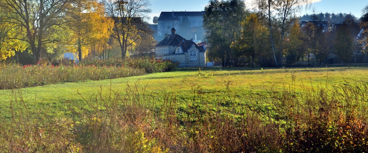 A large house surrounded by trees and a grassy field.