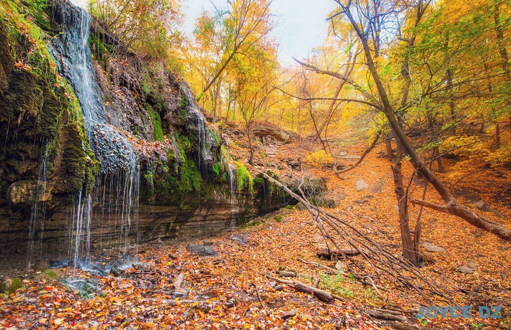 Best Places in Twin Cities to Take Fall Portraits

Shadow Falls – about 5-10 min hike down from the parking lot. Delicious colors from maple trees all around.

http://joycedz.com/best-fall-photos