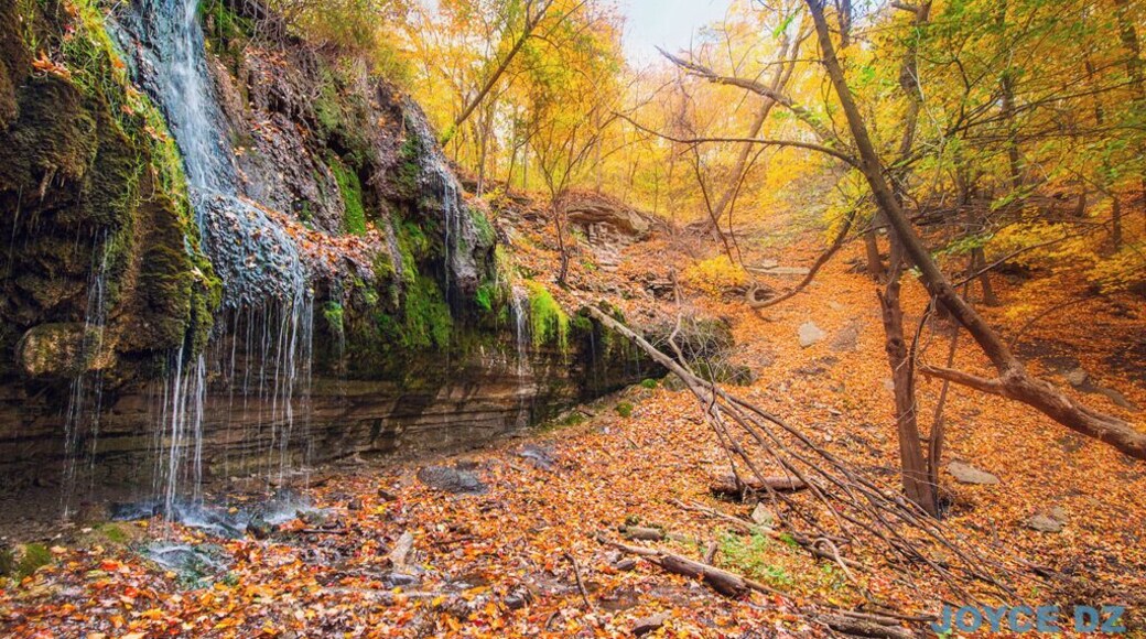 Best Places in Twin Cities to Take Fall Portraits
Shadow Falls – about 5-10 min hike down from the parking lot. Delicious colors from maple trees all around.
http://joycedz.com/best-fall-photos