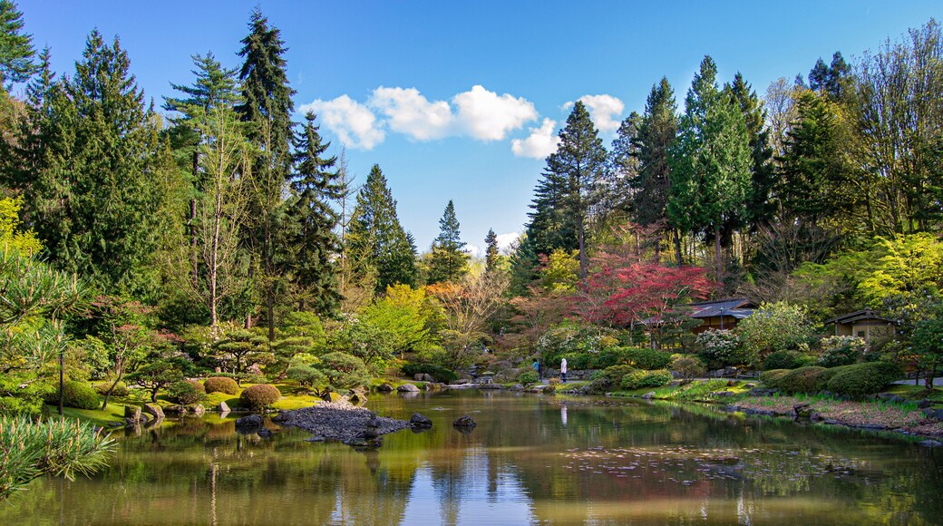 Tranquil and beautiful japanese garden with a lake