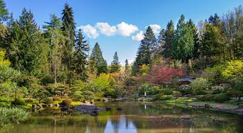 Tranquil and beautiful japanese garden with a lake