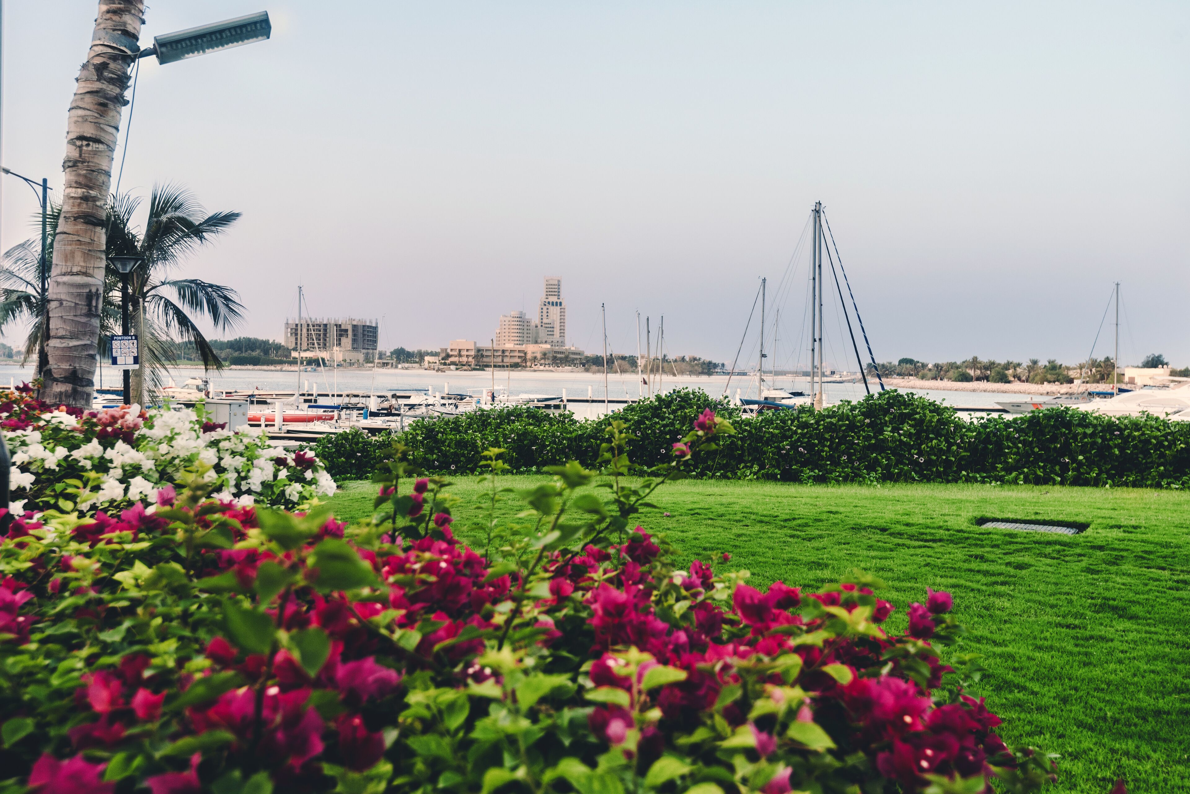 September 12th, 2017 - Al Hamra Village in Ras al Khaimah, United Arab Emirates.View of Persian gulf marina, blossoming flowers and parked yachts in luxury life style community Al Hamra Village.