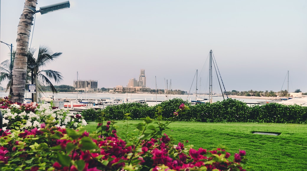 September 12th, 2017 - Al Hamra Village in Ras al Khaimah, United Arab Emirates.View of Persian gulf marina, blossoming flowers and parked yachts in luxury life style community Al Hamra Village.