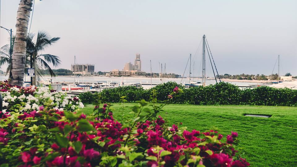 September 12th, 2017 - Al Hamra Village in Ras al Khaimah, United Arab Emirates.View of Persian gulf marina, blossoming flowers and parked yachts in luxury life style community Al Hamra Village.