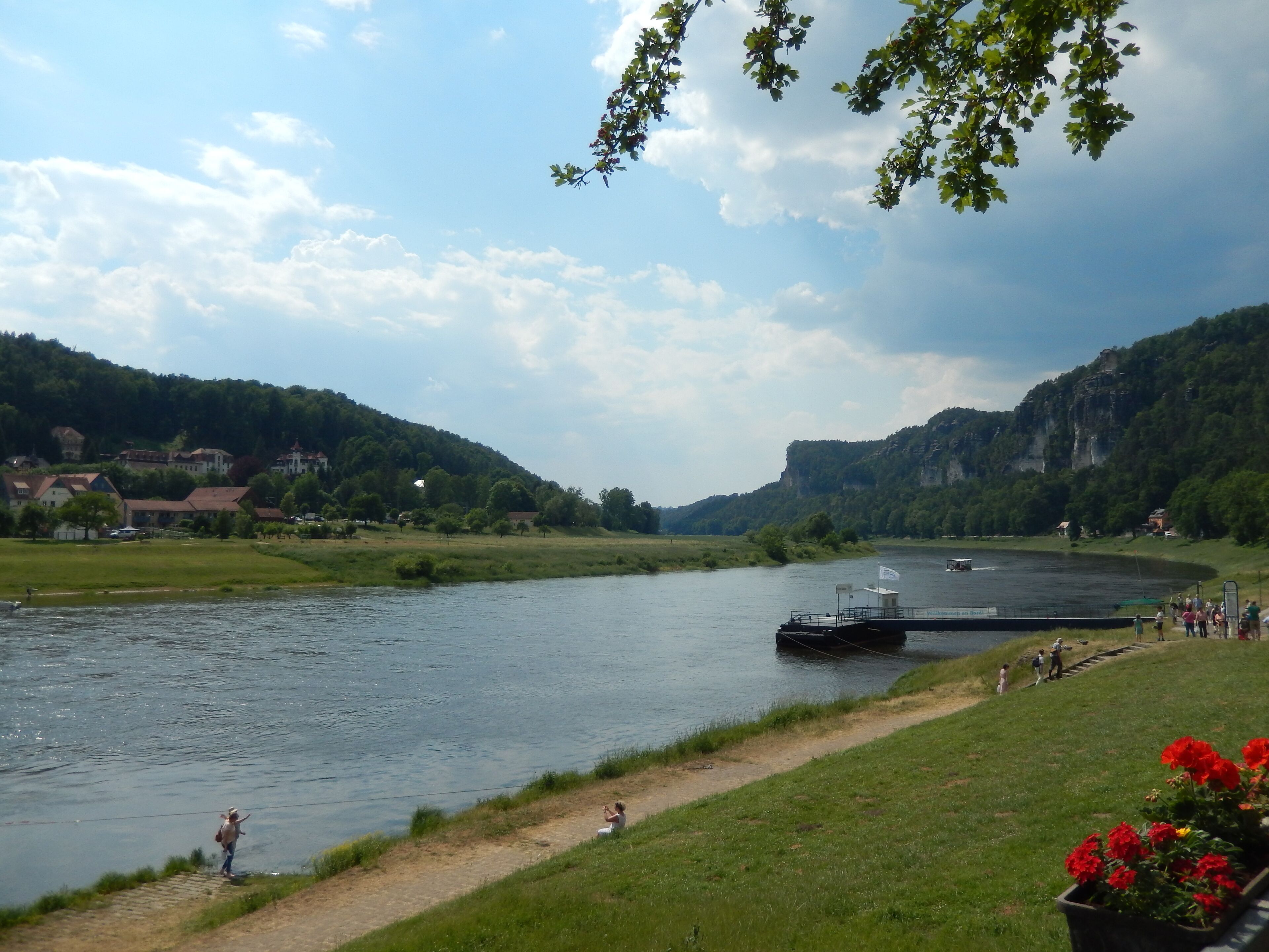 Elbtal zwischen Pirna und Rathen. Blick Richtung Wehlen bei Rathen FFH-Gebiet Elbtal zwischen Schöna und Mühlberg. FFH-Gebietsnummer 4545-301 011, Elbe-Mulde-Tiefland (D10), Sächsisch-Böhmisches Kreidesandsteingebiet (D15), Erzgebirgsvorland und Sächsisches Hügelland (D19)