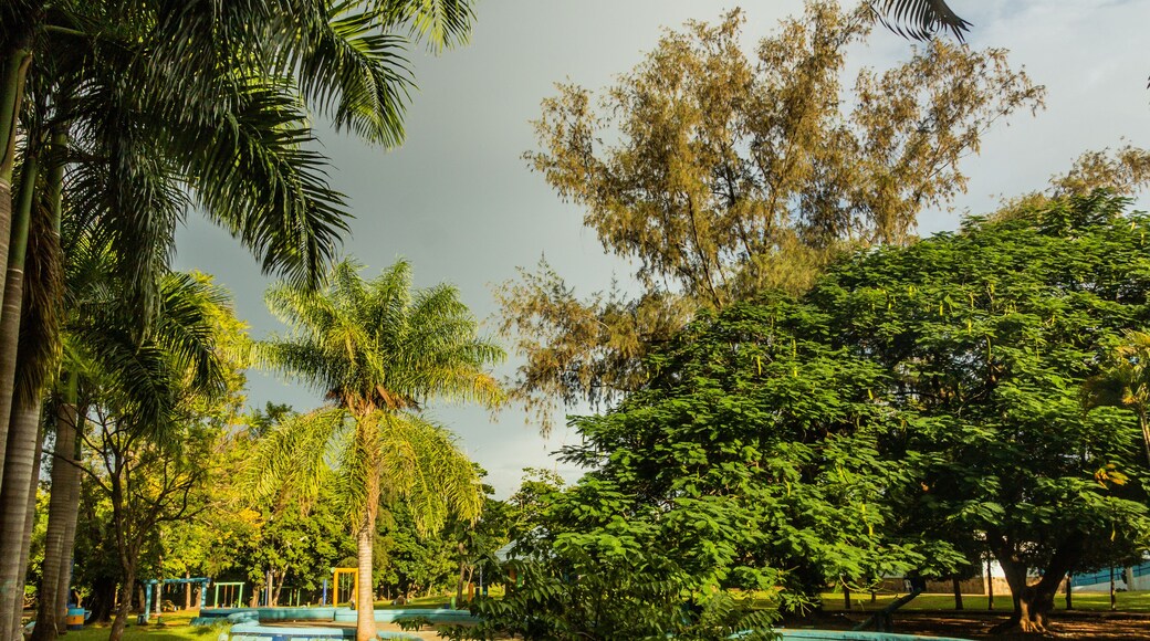 มิราดอร์ ซูร์