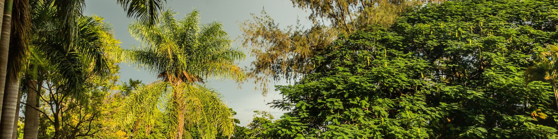 Mirador Sur park in Santo Domingo, capital of Dominican Republic.