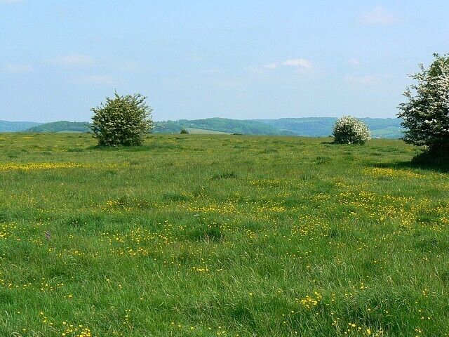 Rodborough Common, near Stroud Rodborough Common with its neighbour Minchinhampton Common comprises 350 hectares of ancient grassland just south of Stroud. It is managed by the National Trust and the commons support a diversity of flora and wildlife species. There are some glorious views from up here and it is very accessible.