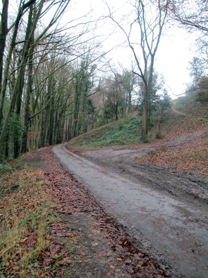 Bear Hill, Woodchester