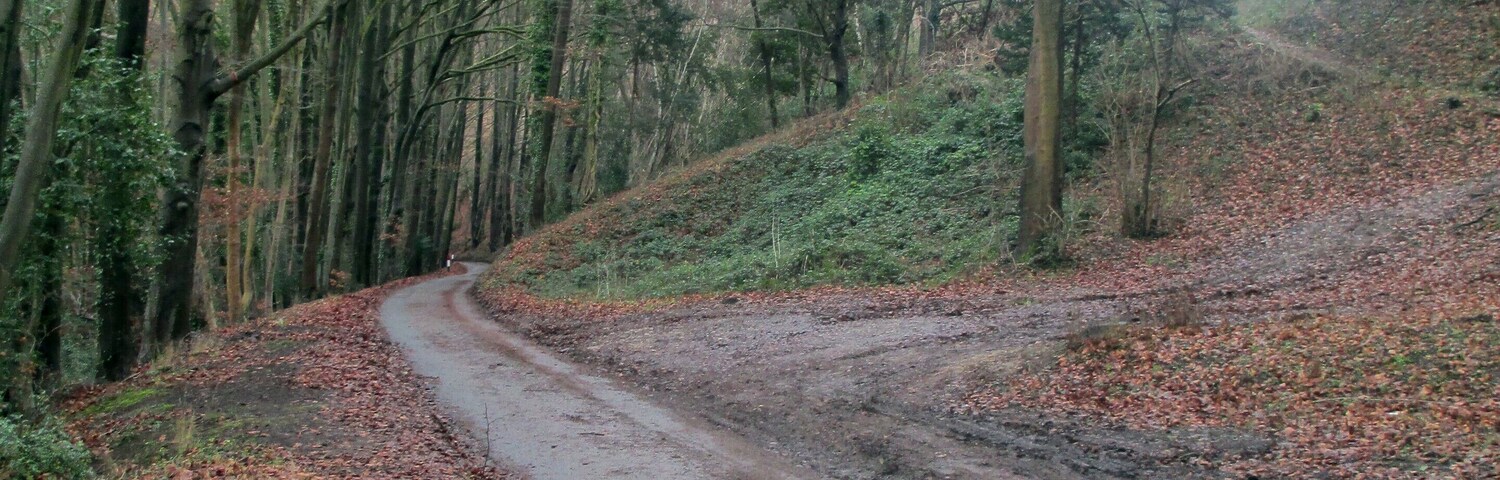 Bear Hill, Woodchester